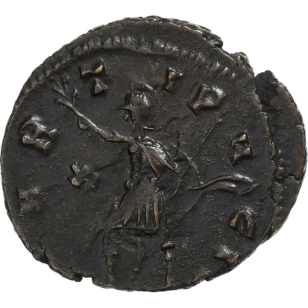 Quintillo,
Antonianos,
270