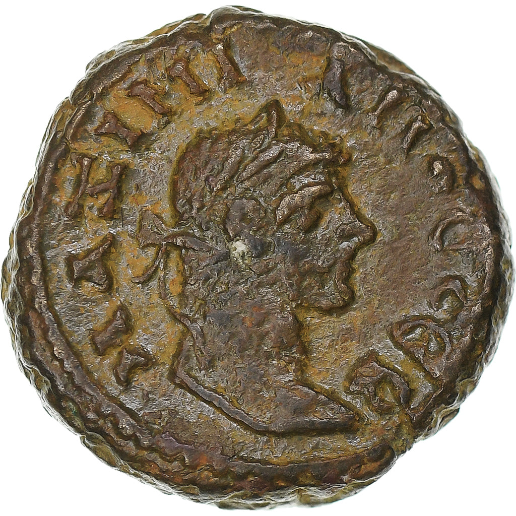 Egypt,
Maximianos,
Tetradrachm