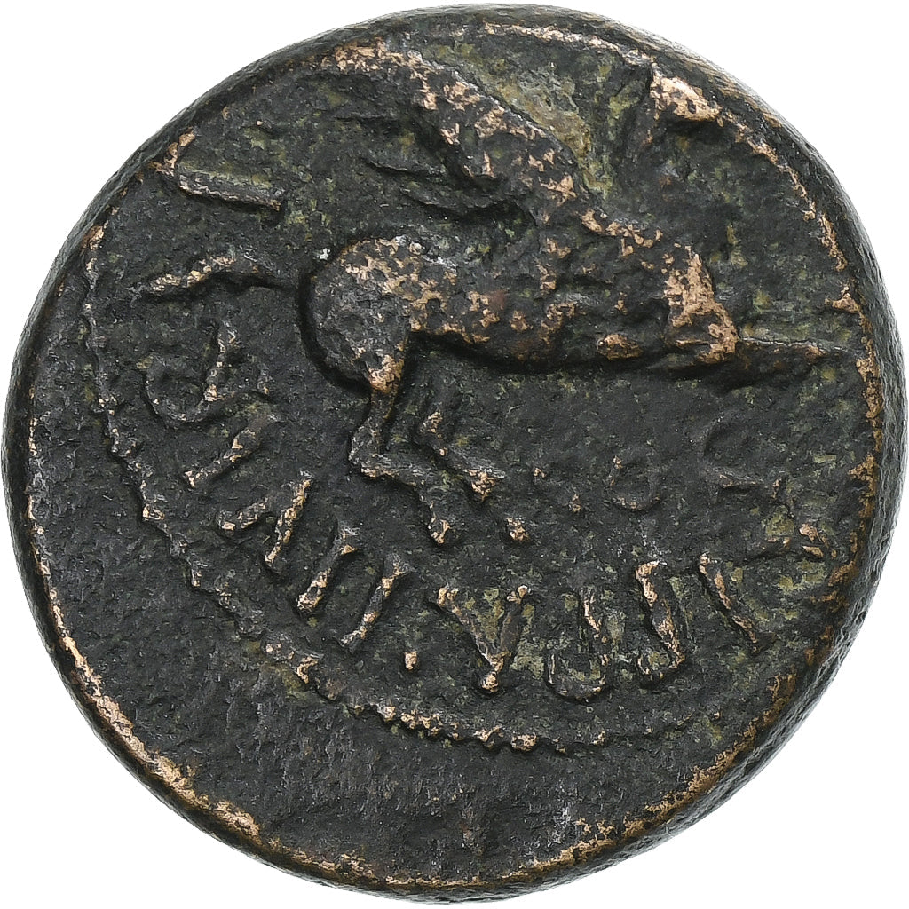 Corinthia,
Caligula,
Æ Jednotka