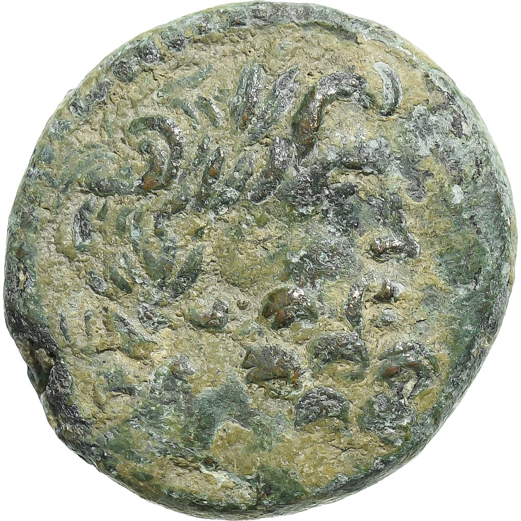 Seleucus a Pieria,
august,
Æ Jednotka