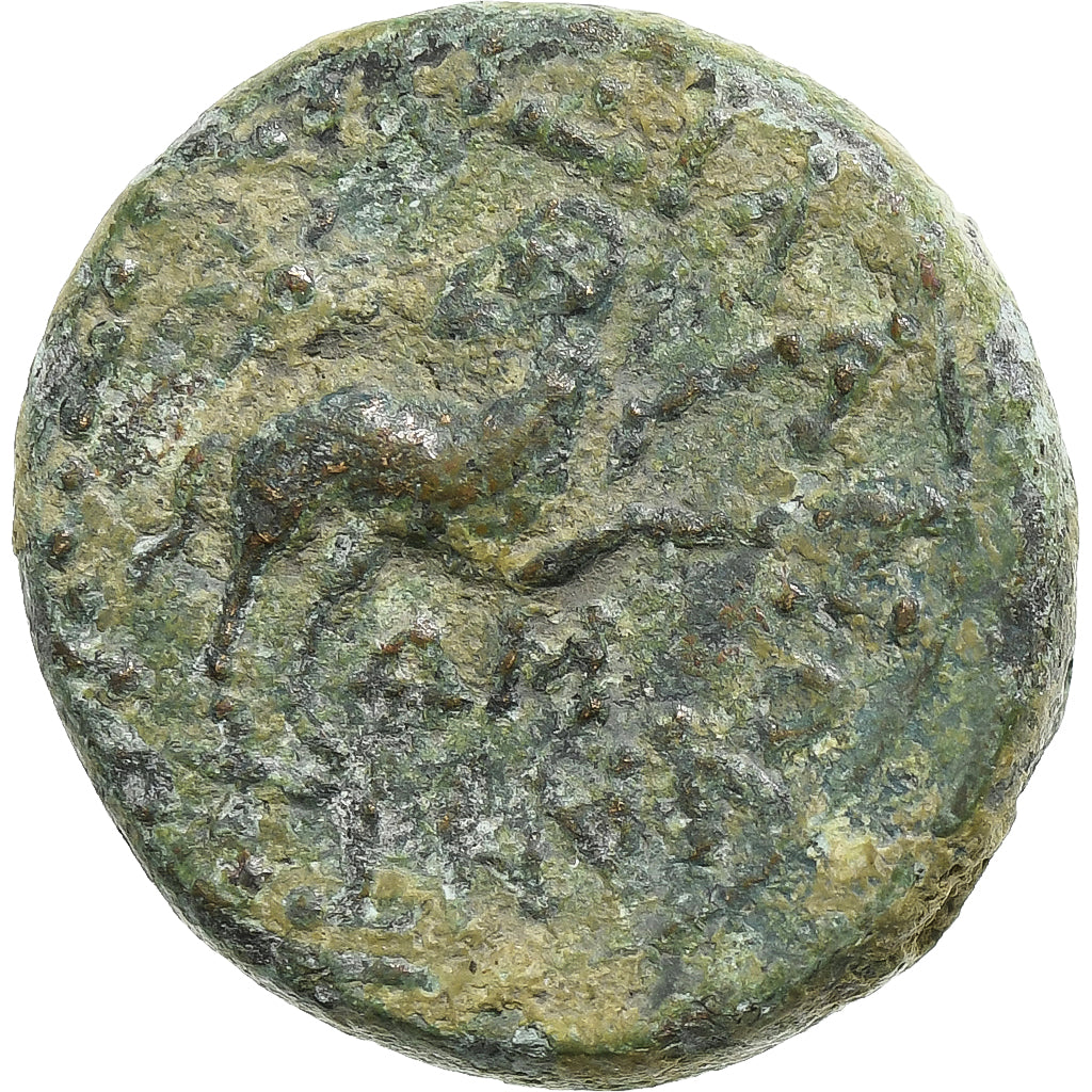 Seleucus a Pieria,
august,
Æ Jednotka