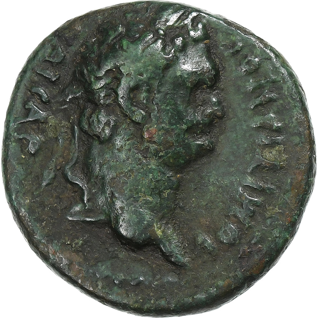 Pamphylia,
Domitian,
Æ Jednotka