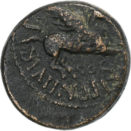 Corinthia,
 
 Caligula,
 
 Æ Jednotka