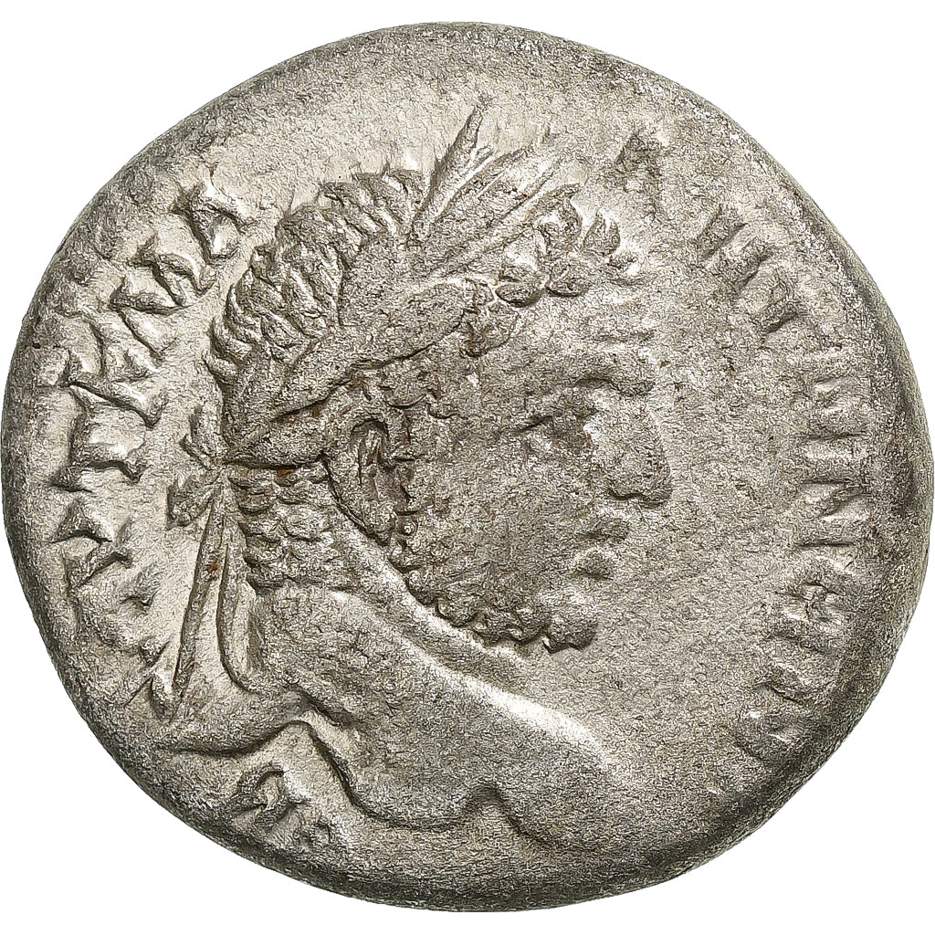 Seleucus a Pieria, 
  
  Caracalla, 
  
  Tetradrachm
