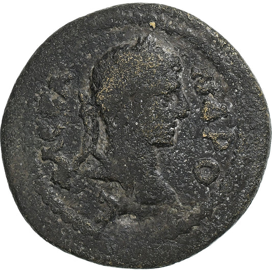 Caria,
 
 Severus Alexander,
 
 Æ Jednotka