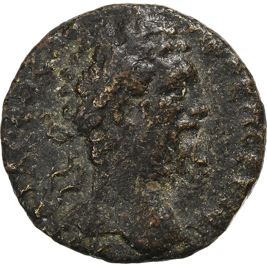 cilícia,
 
 Septimius Severus,
 
 Æ Jednotka