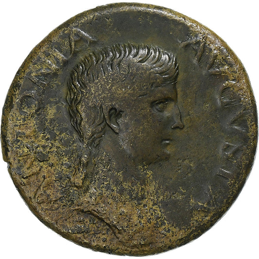 Antonia,
 
 dupontius,
 
 41-50
